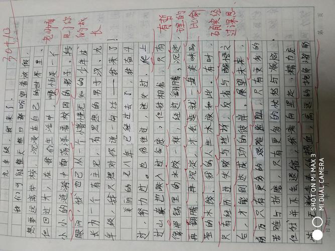 初中我来了作文350字