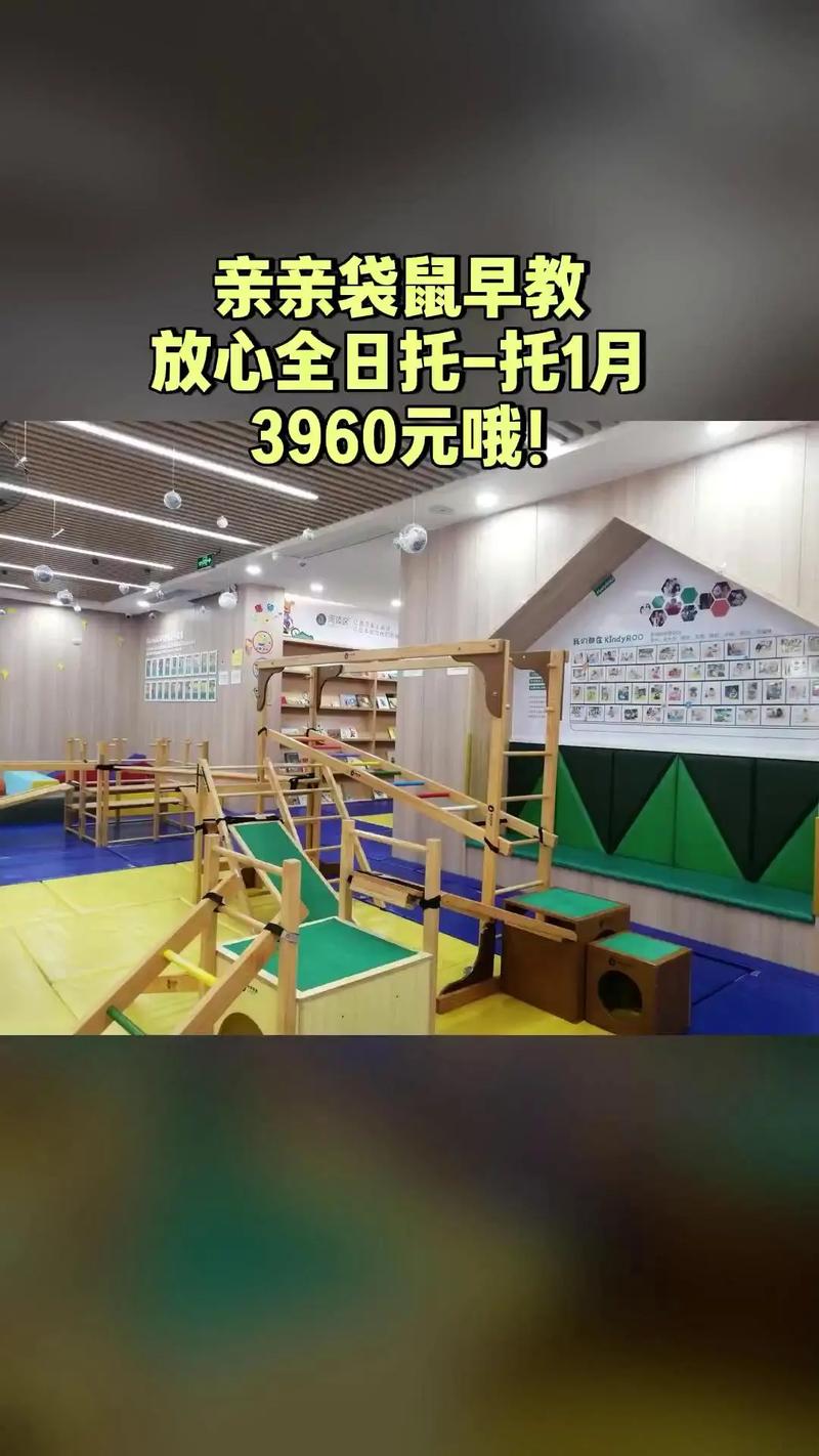 东莞东城亲亲袋鼠早教