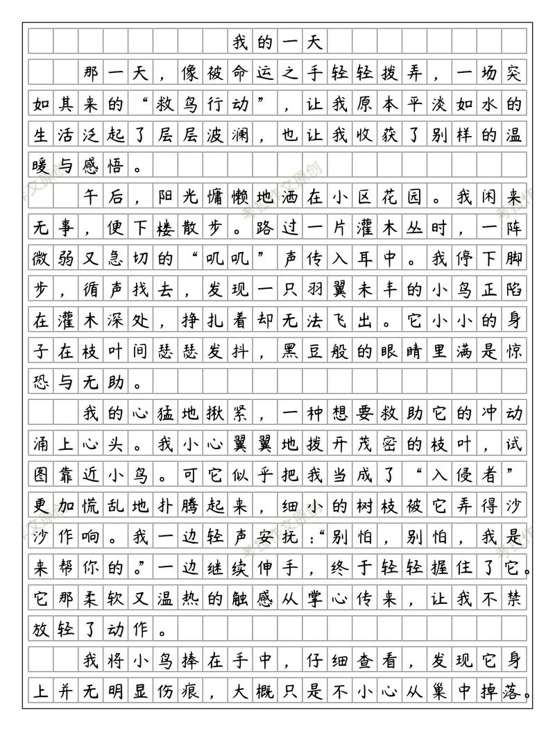 750字的作文初中作文