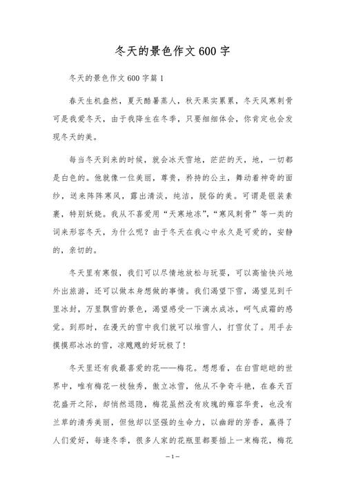 北方的冬天600字初中
