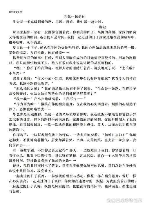 同学情初中作文500字