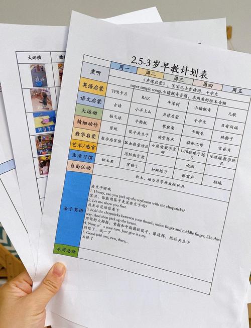 早教社区调查活动方案