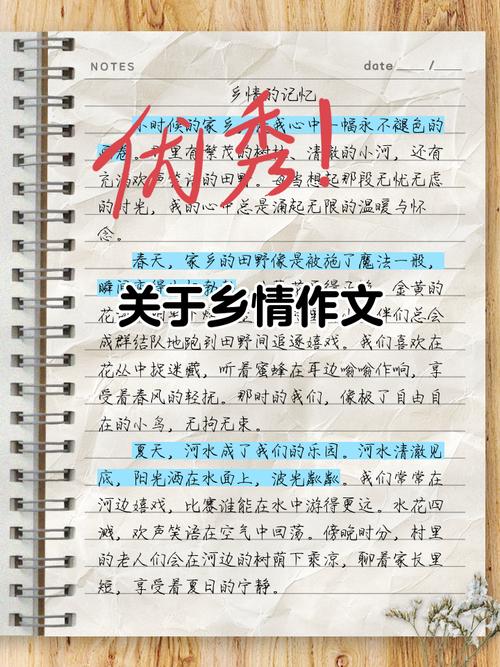 乡情的作文初中800字