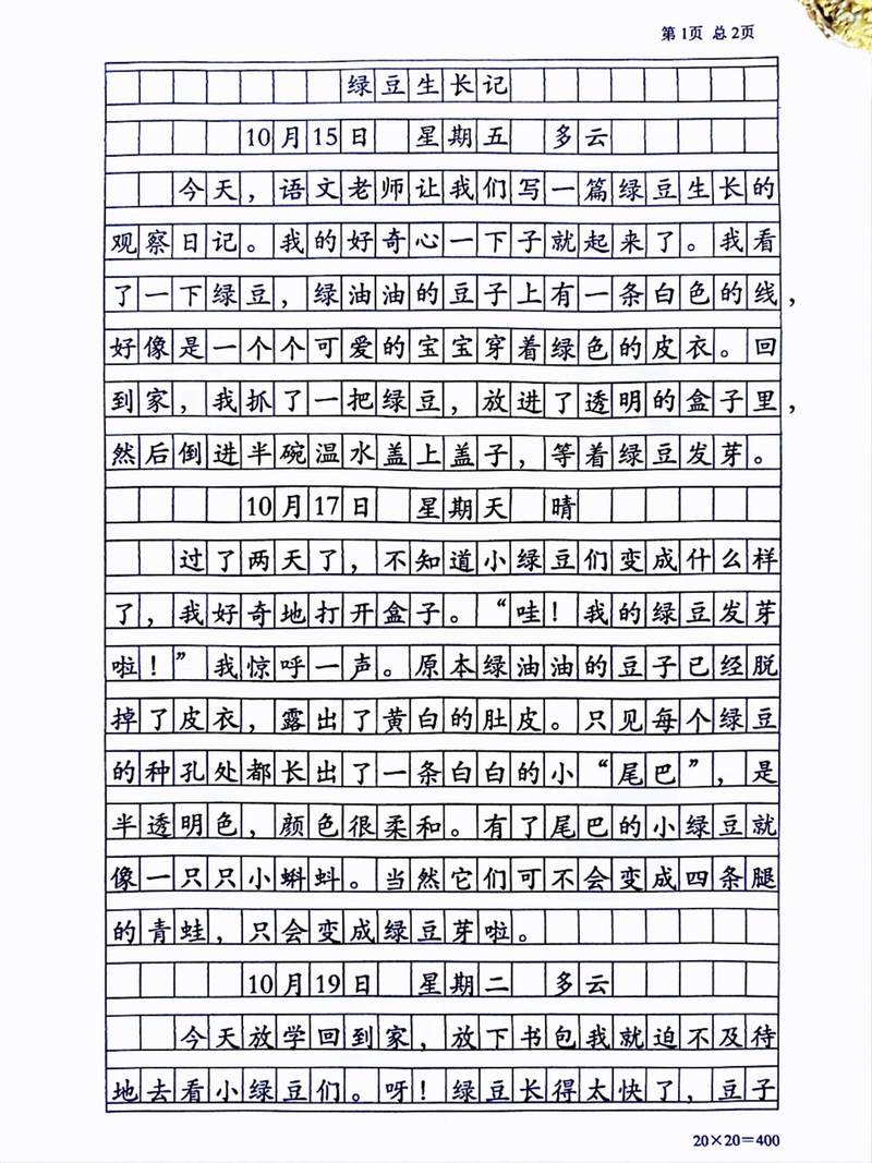 小学四年级周记400字