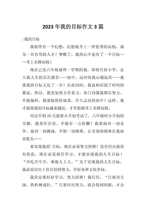 介绍自己的目标初中作文