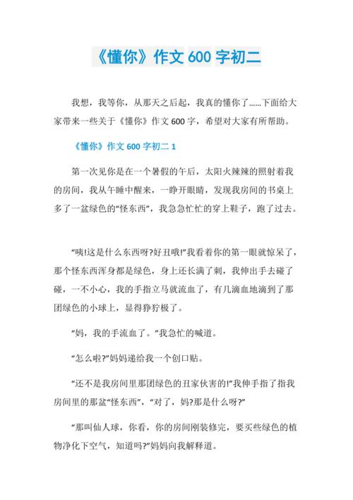 初中六百字优秀作文懂你