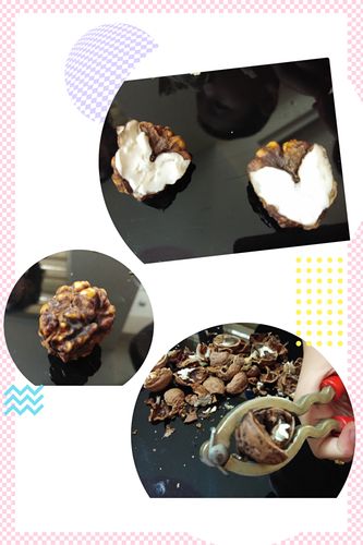 摘核桃日记初中400字