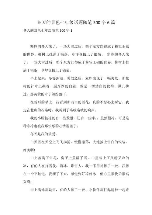 冬天的作文500字初中