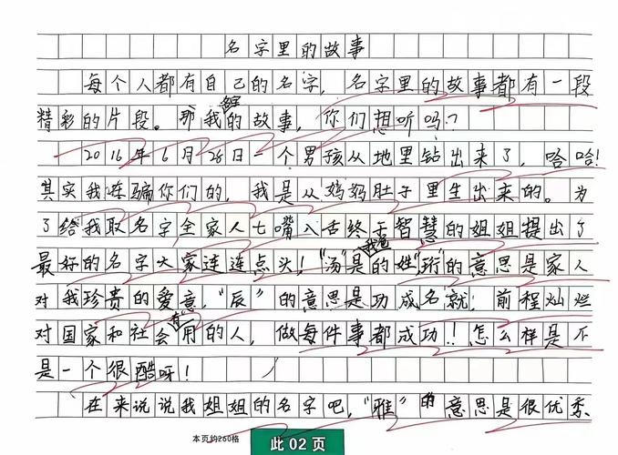 名字的故事600字初中