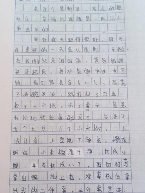 初中初印象500字作文