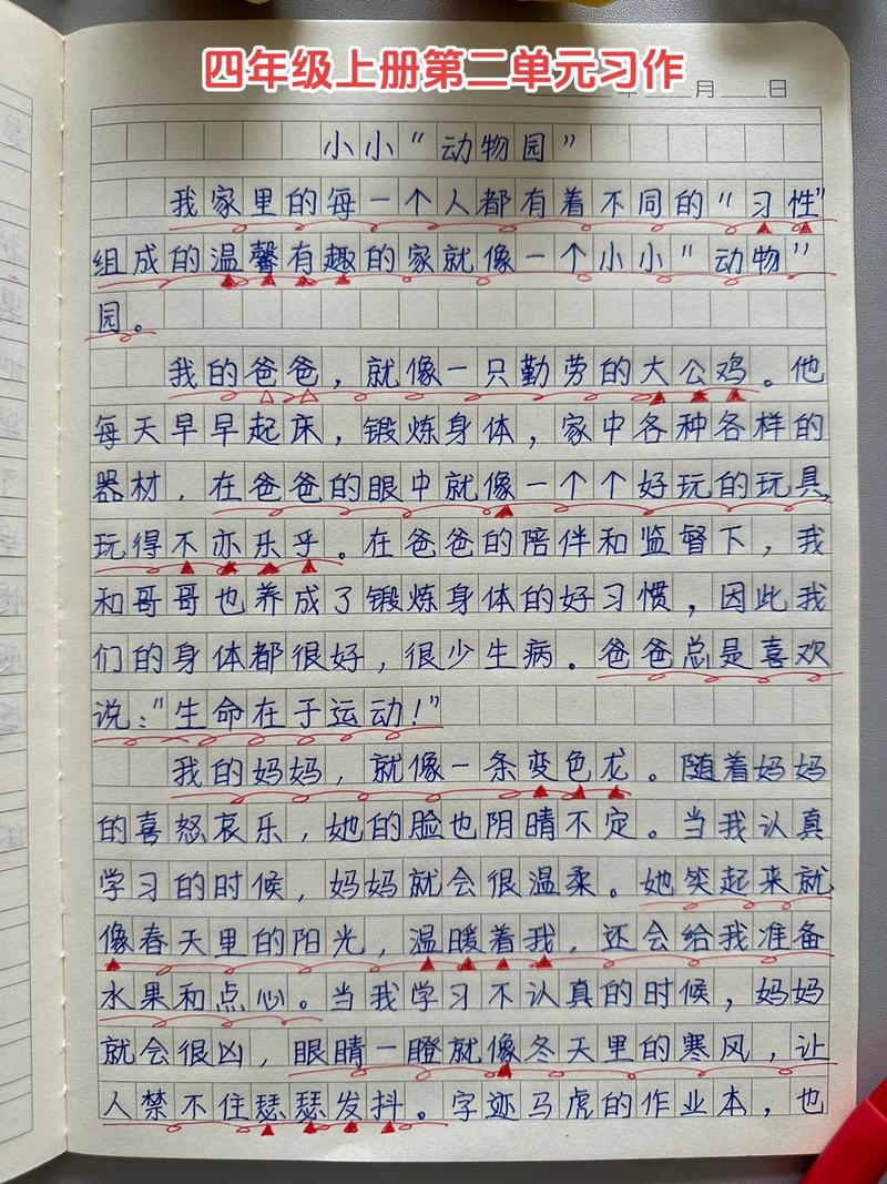 小学四年级第二单元作文