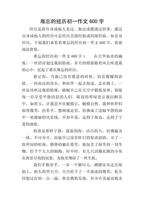 初中难忘的经历优秀作文