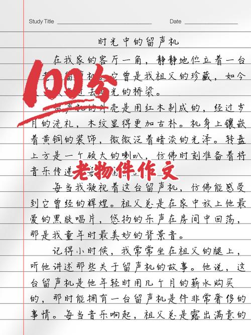 100我的收藏作文初中