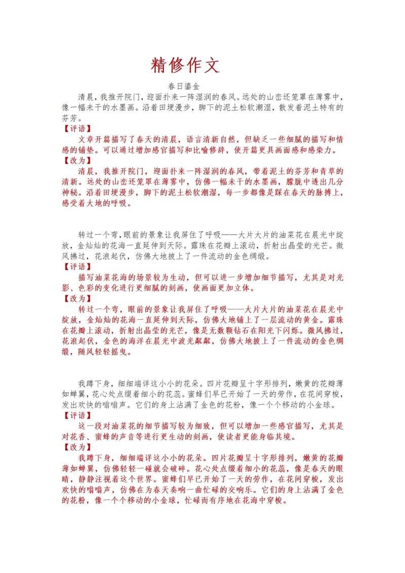 春天早晨的景色作文初中