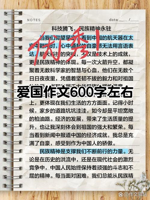 爱国人作文600字初中