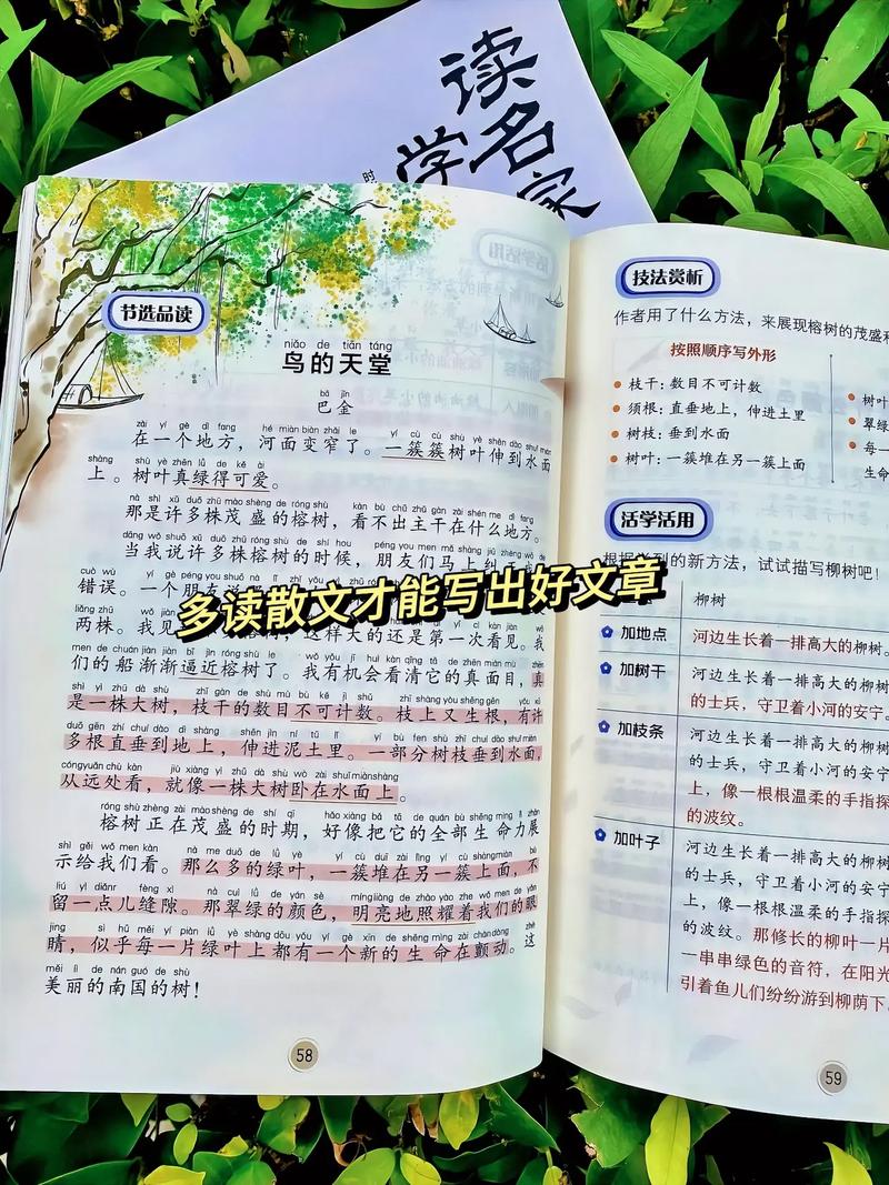 小学三年级语文课外阅读