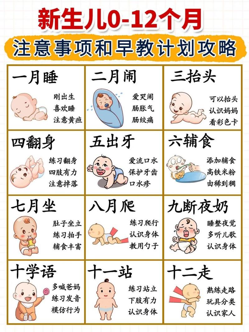 婴儿早教都有哪些内容