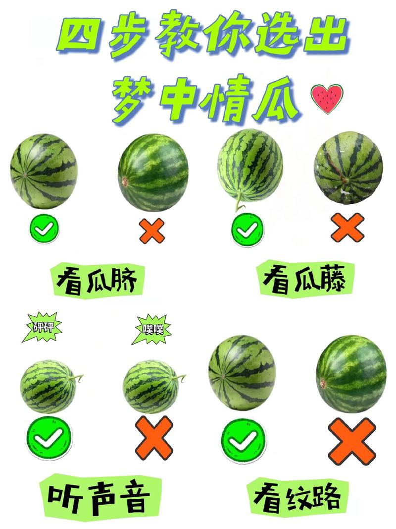 西瓜认识颜色早教视频