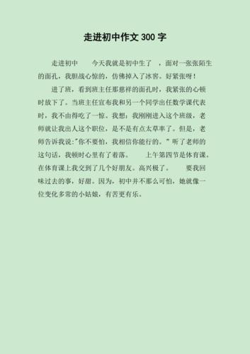 初入初中的感想 300
