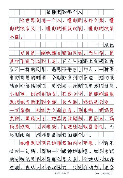 初中作文600字有题记