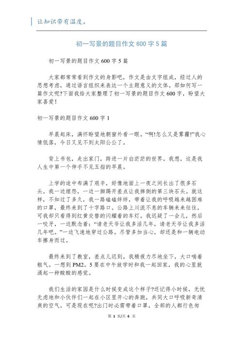 初中作文600字有题记