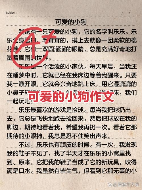 小黑狗作文600字初中