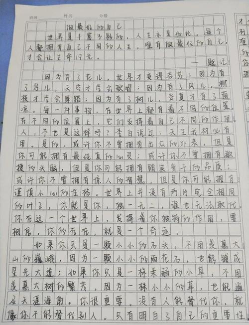 初中作文 做最好的自己