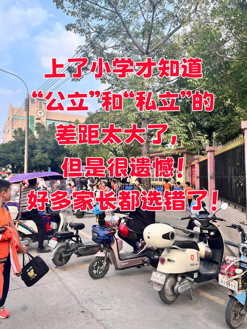 小学上私立好还是公立好