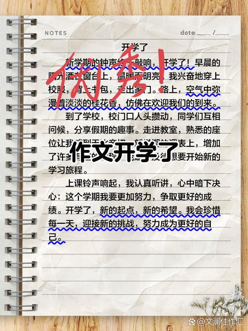 日记500字初中开学时