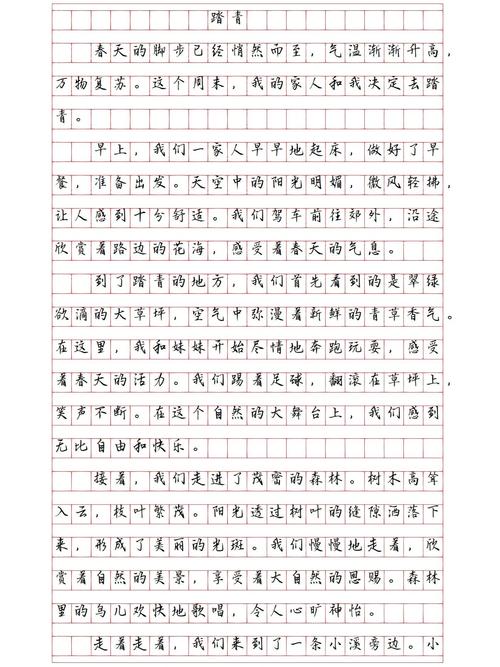 周记(踏入初中的心情)