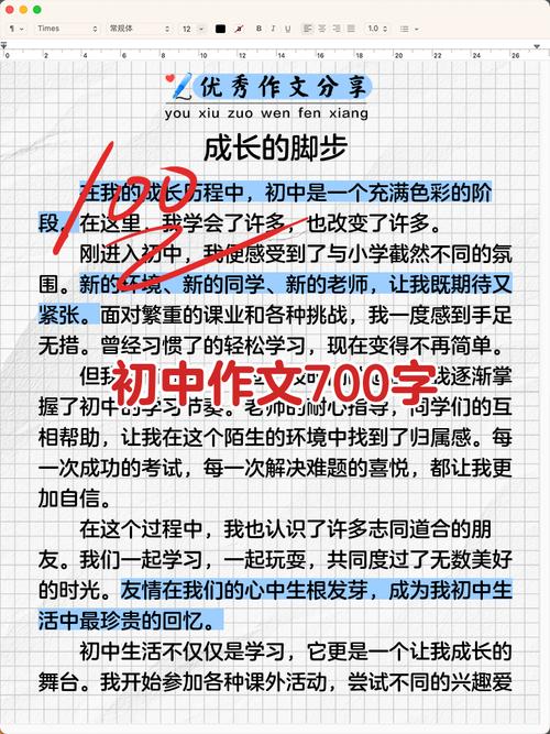 踏入初中的感悟700字