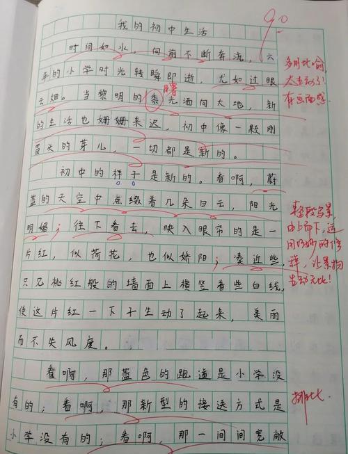 踏入初中的感悟700字