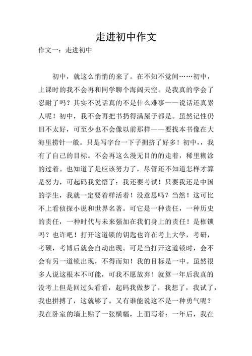 踏入初中的感悟700字