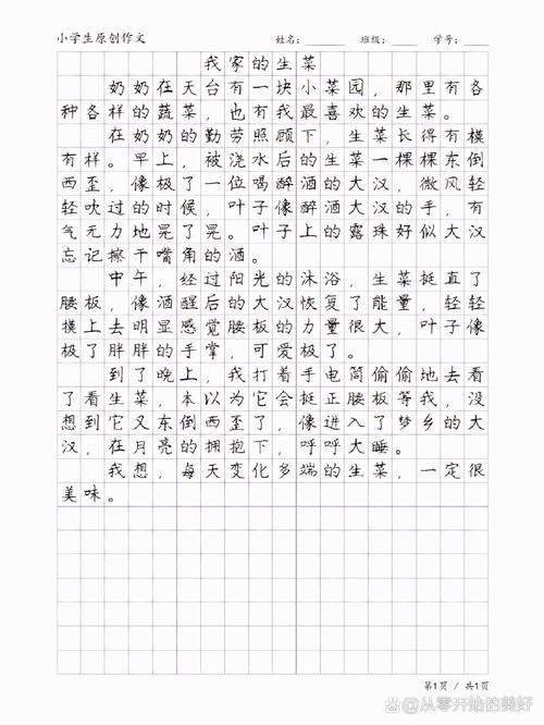 小学生作文大全300字