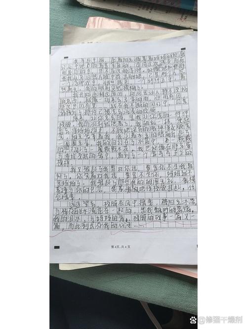 神奇的校服初中600字