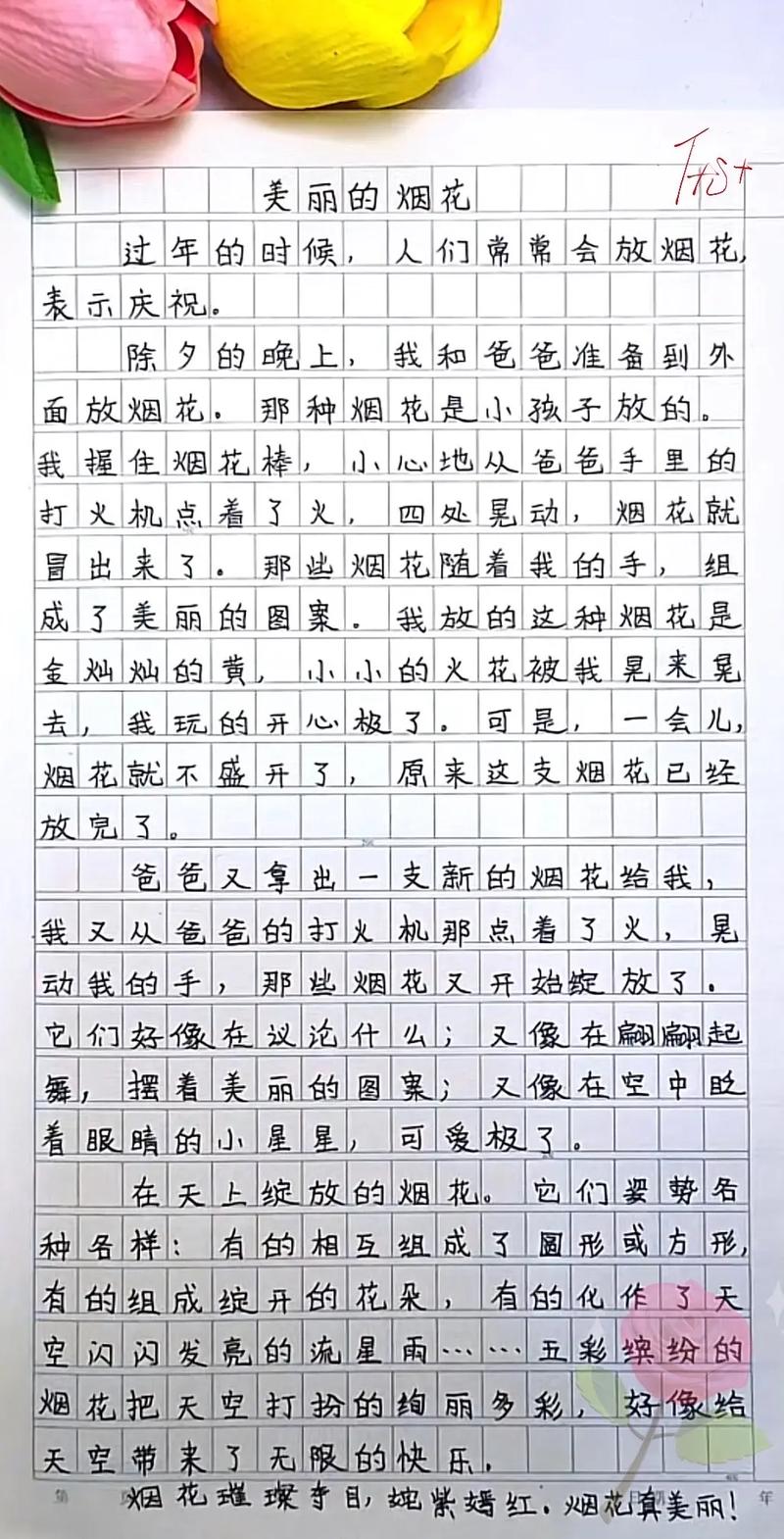 小学生作文300字大全