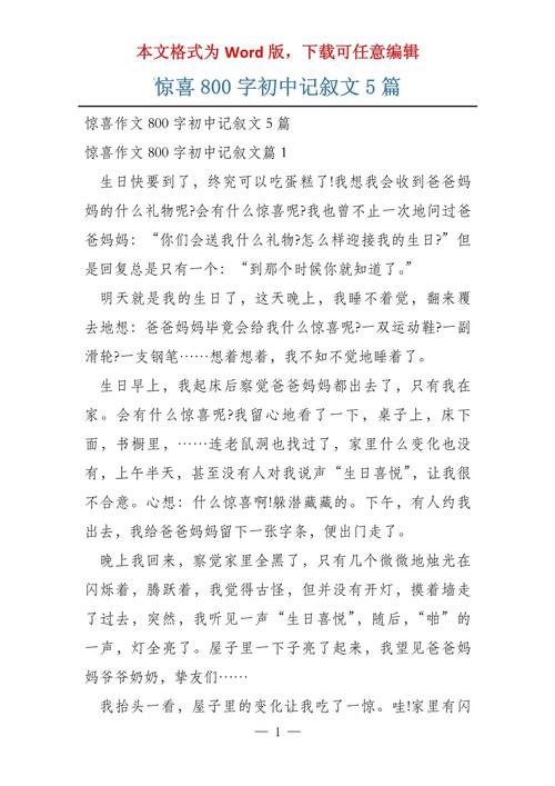 惊喜的作文800字初中