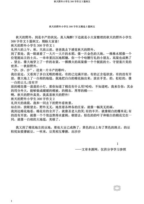 小学五年级作文300字
