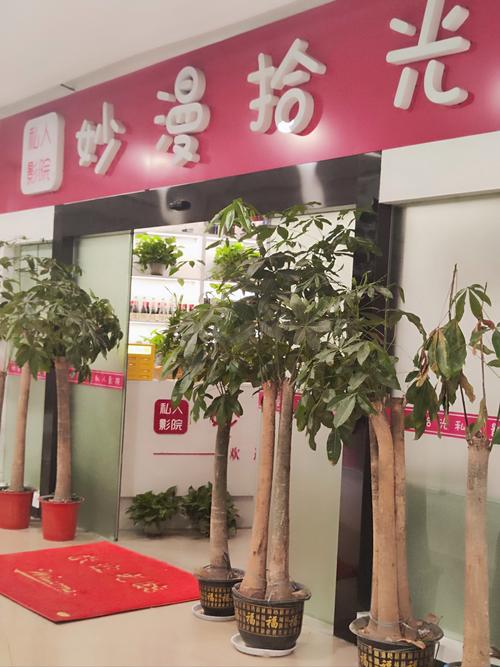 常州鲱鱼早教中心电话