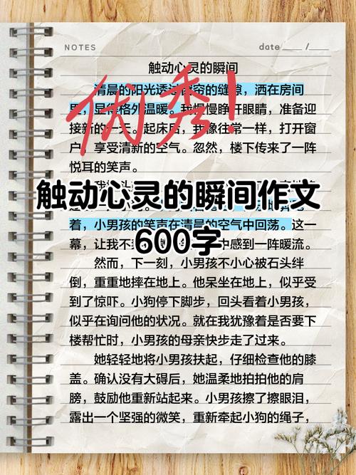 震撼心灵的作文初中作文