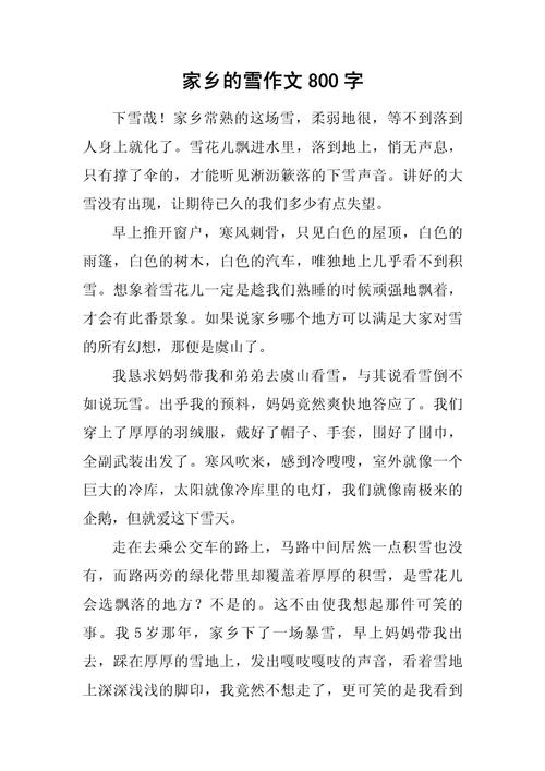 家乡的冬天800字初中