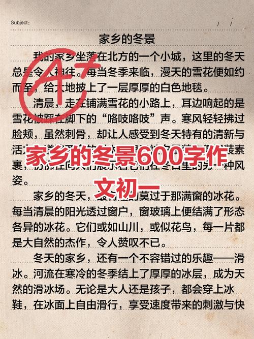 家乡的冬天800字初中