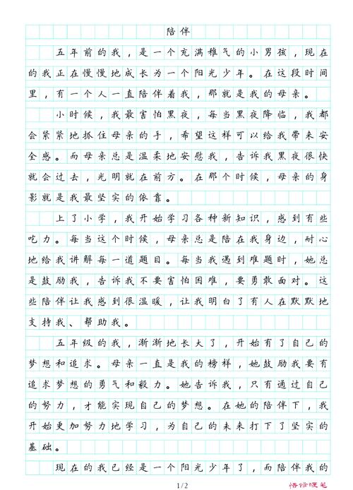 陪伴初中的作文800字