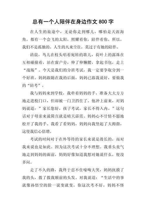 陪伴初中的作文800字