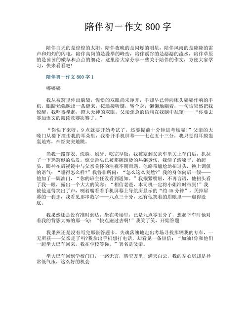 陪伴初中的作文800字
