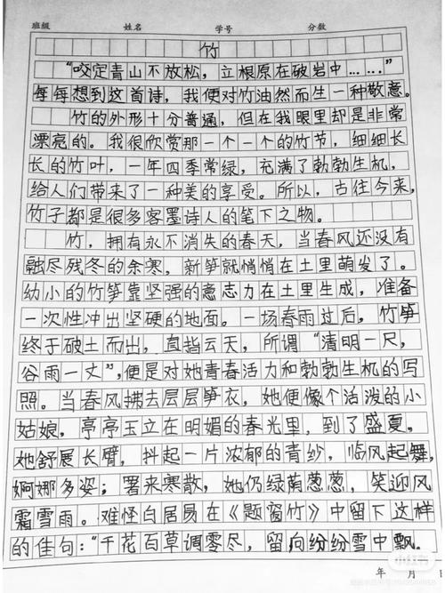 初中竹子的作文600字