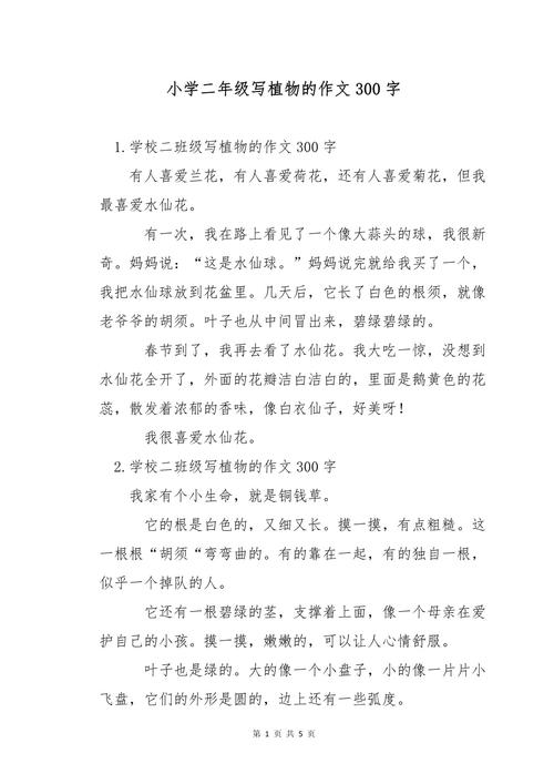 小学二年级作文300字