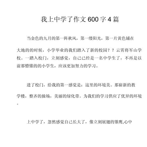 初上初中的作文600字