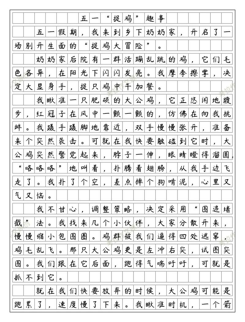 小学生作文大全500字