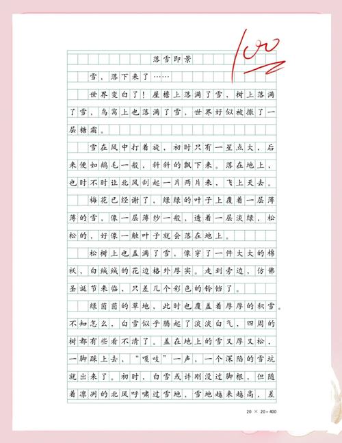 小学生作文大全500字